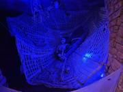 0e4af07e-3991-4a0d-8158-6cbd2dbabe68