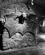 954637be-1e4e-426d-83dc-48e2ce4aaafc